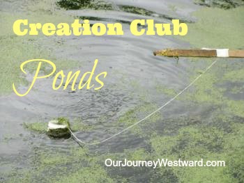 Creation Club Pond Study | Our Journey Westward