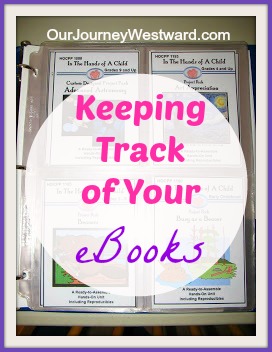 Blog post image about keeping track of your eBooks