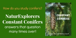 Constant Conifers is packed full of ideas for a nature study themed unit on conifers