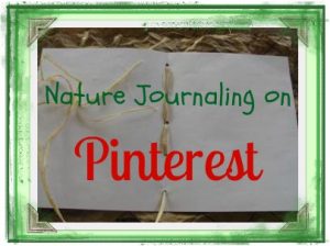 Nature Journals
