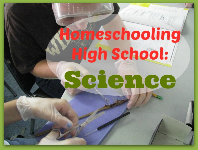 Kids dissecting a worm. For a blog post about Homeschooling high school science