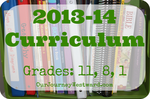 2013-24 curriculum blog post with a shelf of books