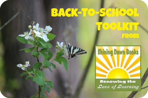 Black and white butterfly perched on a white flower with green leaves.