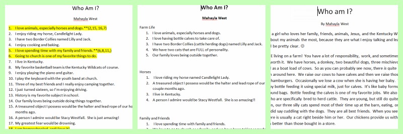 Rock Star Personal Statement Essay