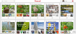 Cindy has tons of nature study boards!