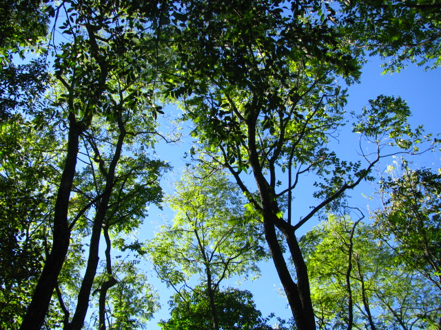 Teach the Biblical story of Easter through nature walks!