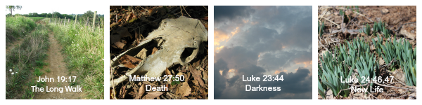 Teach the Easter story through nature study!