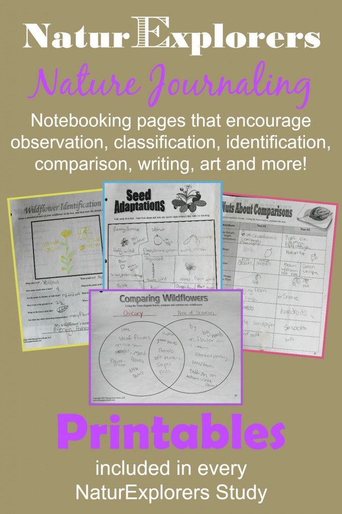 NaturExplorers studies are available on more than 20 nature topics.  Each study includes several printable nature notebooking pages.