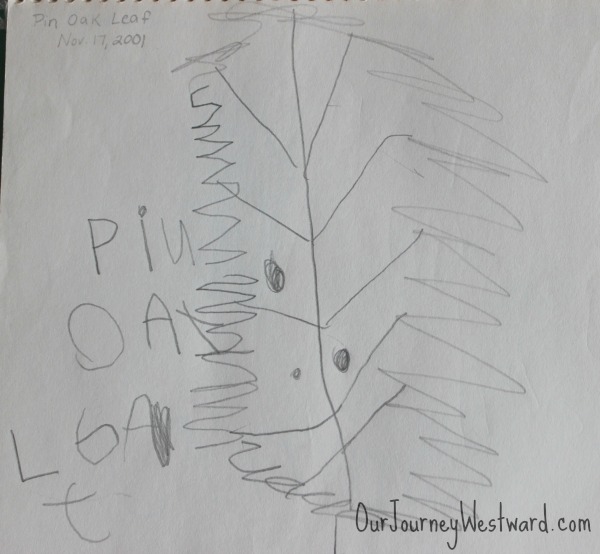 Nature journaling is an important part of nature study!