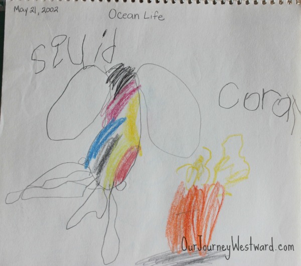 Nature journaling is an important part of nature study.