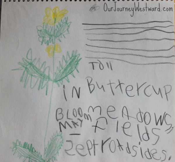 Nature journaling is an important part of nature study!