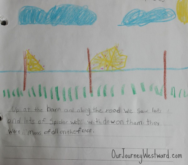 Nature journaling is an important part of nature study!