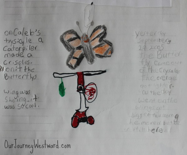 Nature journaling is an important part of nature study.