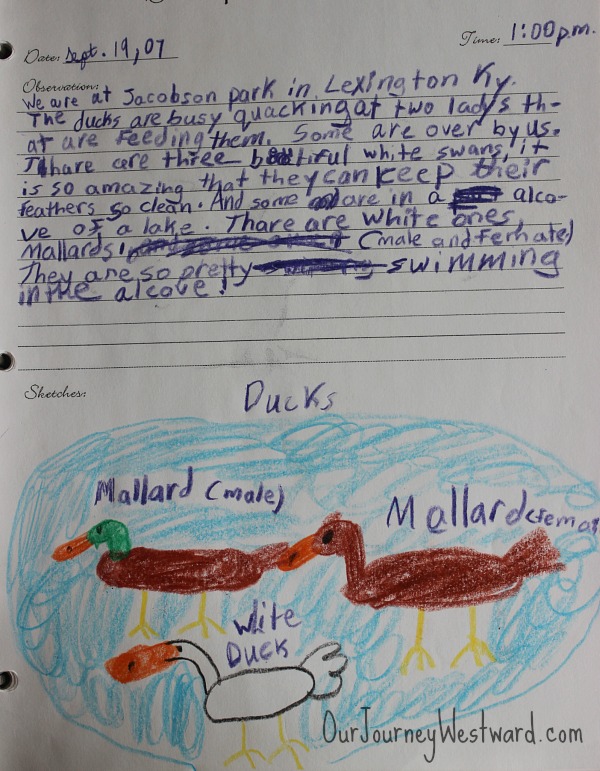 Nature journaling is an important part of nature study.