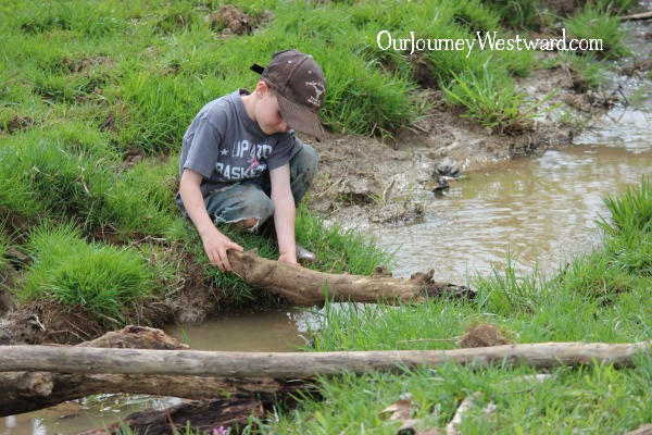 Charlotte Mason nature study can certainly be playful!