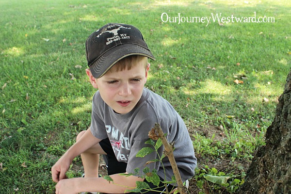 Studying nature has been such an important part our our homeschool.  See why!