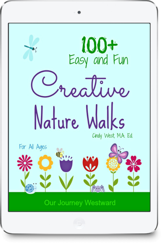 Creative Nature Walks