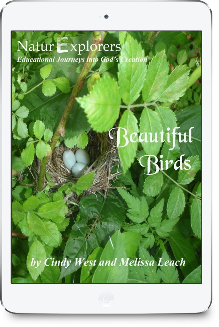 Unknown product name