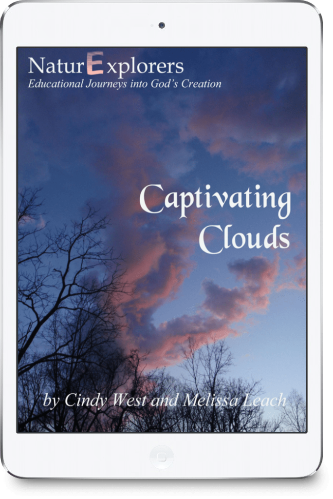 Purple clouds rise above bare winter trees on the cover of a nature study about captivating clouds.