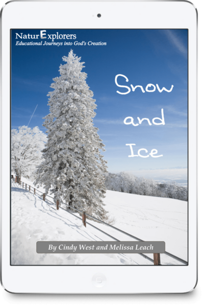 iPad image of an evergreen tree and slope covered in snow with bright blue sky in the background. It's the cover of a curriculum about snow and ice.