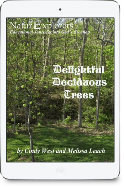 The cover of a nature study about deciduous trees with yard and forest in the backgroud.