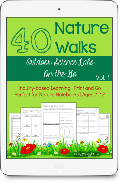 40 Nature Walks curriculum with different tones of green, flower drawings, and sample notebook pages on the front.