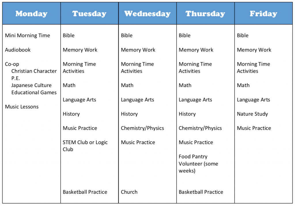Charlotte Mason inspired curriculum picks for a 6th grade boy