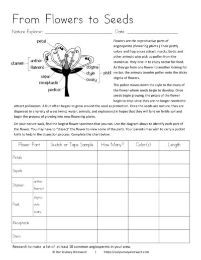 40 Nature Walks Page