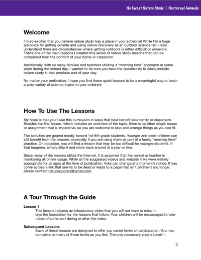No Sweat Nature Study: Nocturnal Animals Science Curriculum page