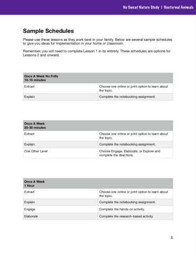 No Sweat Nature Study: Nocturnal Animals Science Curriculum page