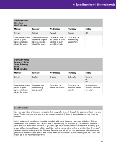 No Sweat Nature Study: Nocturnal Animals Science Curriculum page