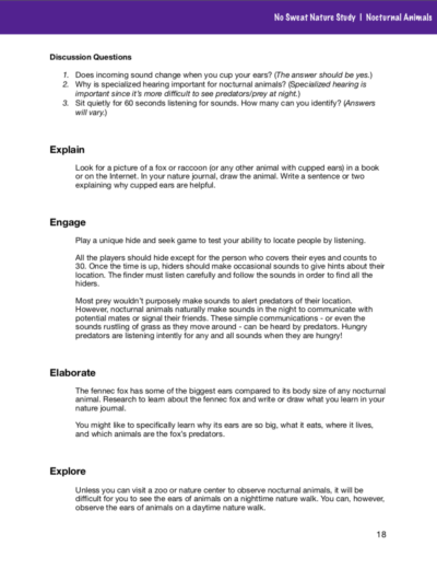 No Sweat Nature Study: Nocturnal Animals Science Curriculum page