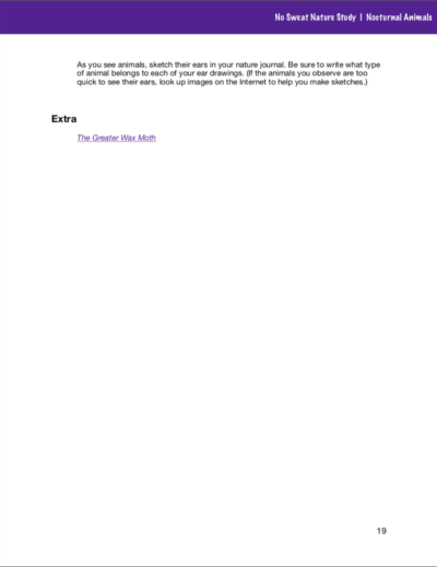 No Sweat Nature Study: Nocturnal Animals Science Curriculum page