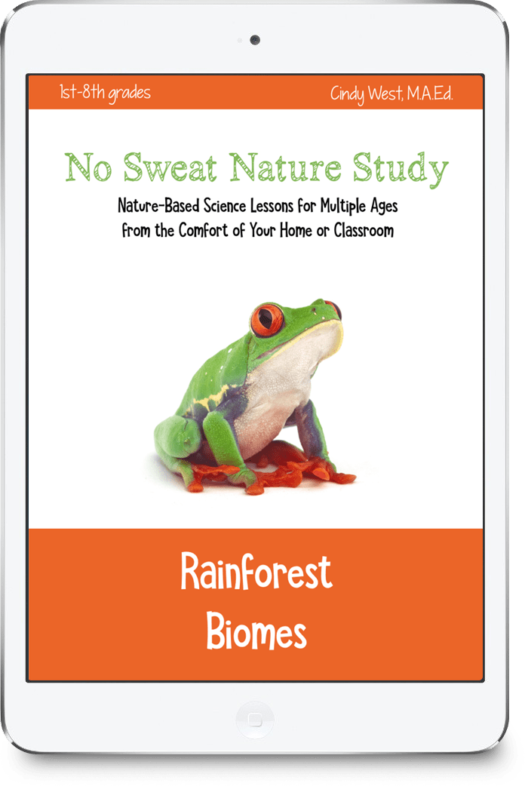 Rainforest Biomes Study