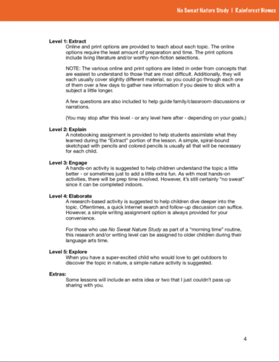 Page of curriculum about rainforest biomes with an orange stripe on top of the page.