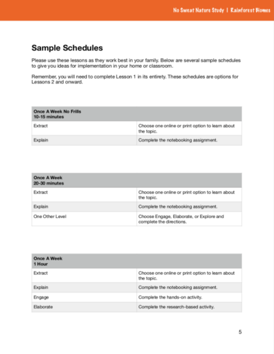 Page of curriculum about rainforest biomes with an orange stripe on top of the page.