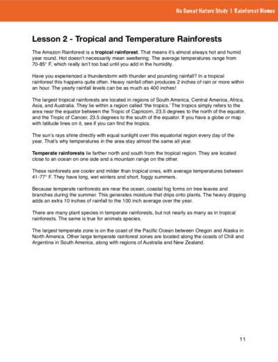 Page of curriculum about rainforest biomes with an orange stripe on top of the page.