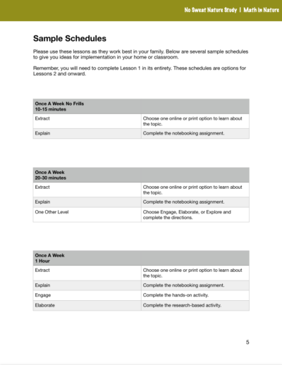 Page from the Math in Nature curriculum.