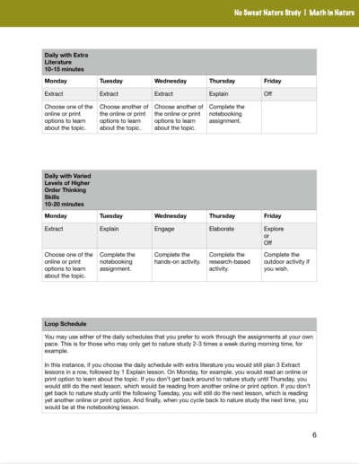 Page from the Math in Nature curriculum.