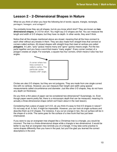 Page from the Math in Nature curriculum.