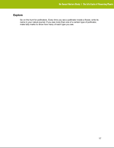 The Life Cycle of Flowering Plants No Sweat Nature Study curriculum preview.