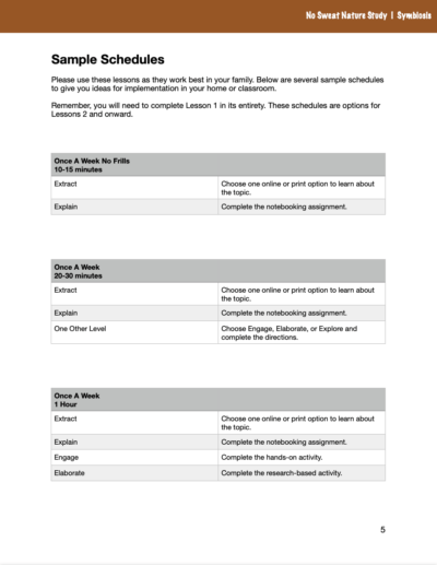 Symbiosis No Sweat Nature Study curriculum.