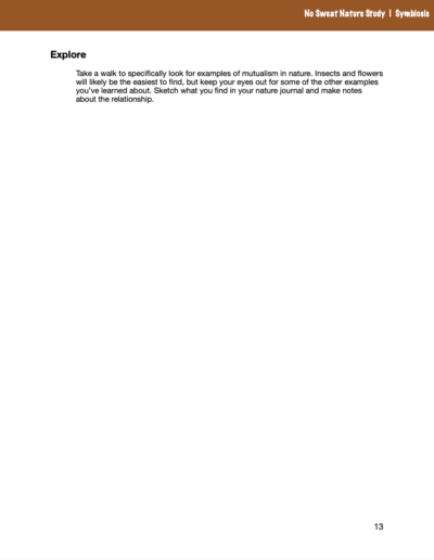 Symbiosis No Sweat Nature Study curriculum.