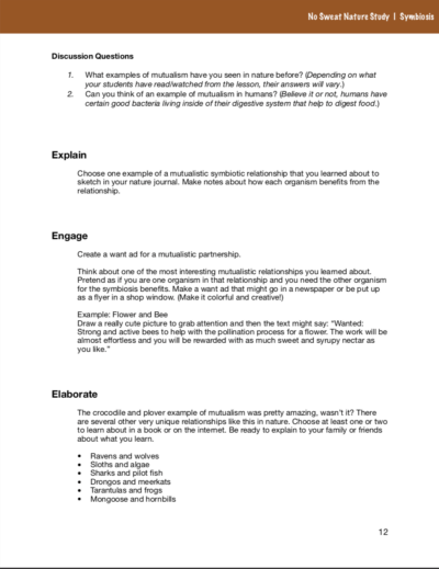 Symbiosis No Sweat Nature Study curriculum.