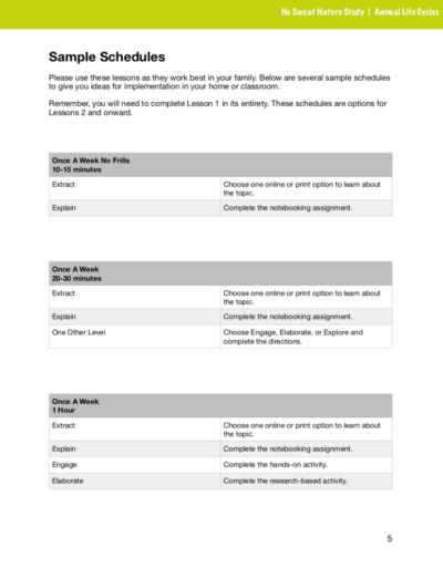 Animal Life Cycles curriculum