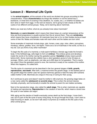 Animal Life Cycles curriculum