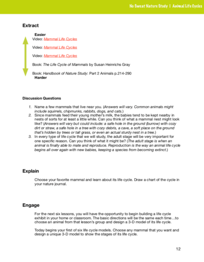 Animal Life Cycles curriculum