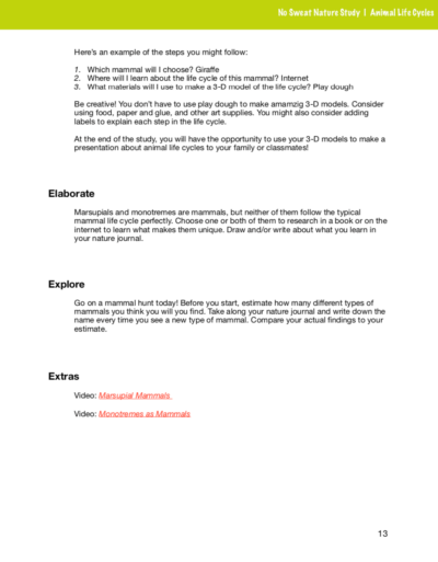 Animal Life Cycles curriculum