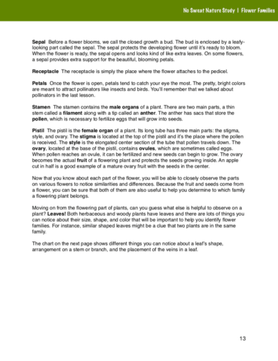 Flower Families Curriculum