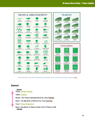 Flower Families Curriculum
